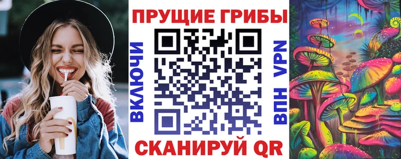 mega ONION  Астрахань  Псилоцибиновые грибы Magic Shrooms  купить  